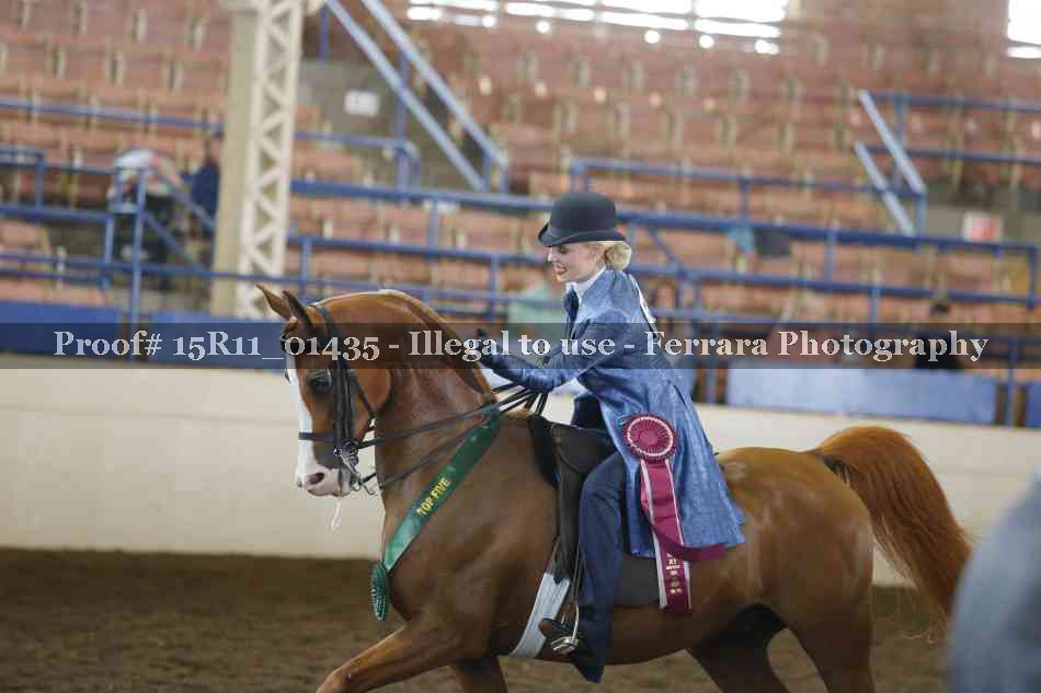 Proof Number 15R11_01435