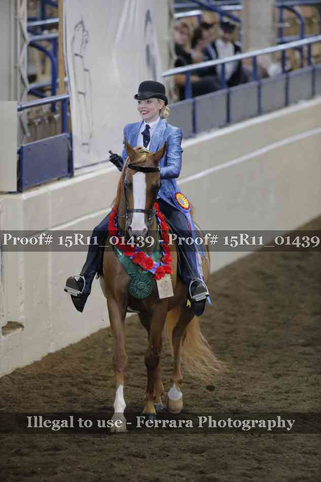 Proof Number 15R11_01439