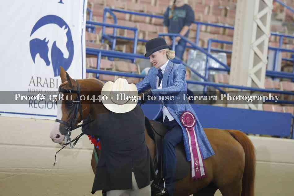 Proof Number 15R11_01440