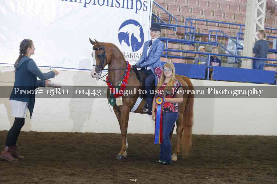 Proof Number 15R11_01443