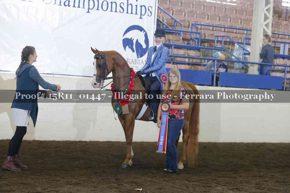 Proof Number 15R11_01447