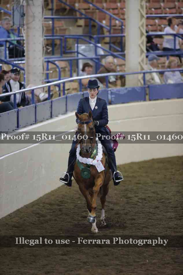 Proof Number 15R11_01460
