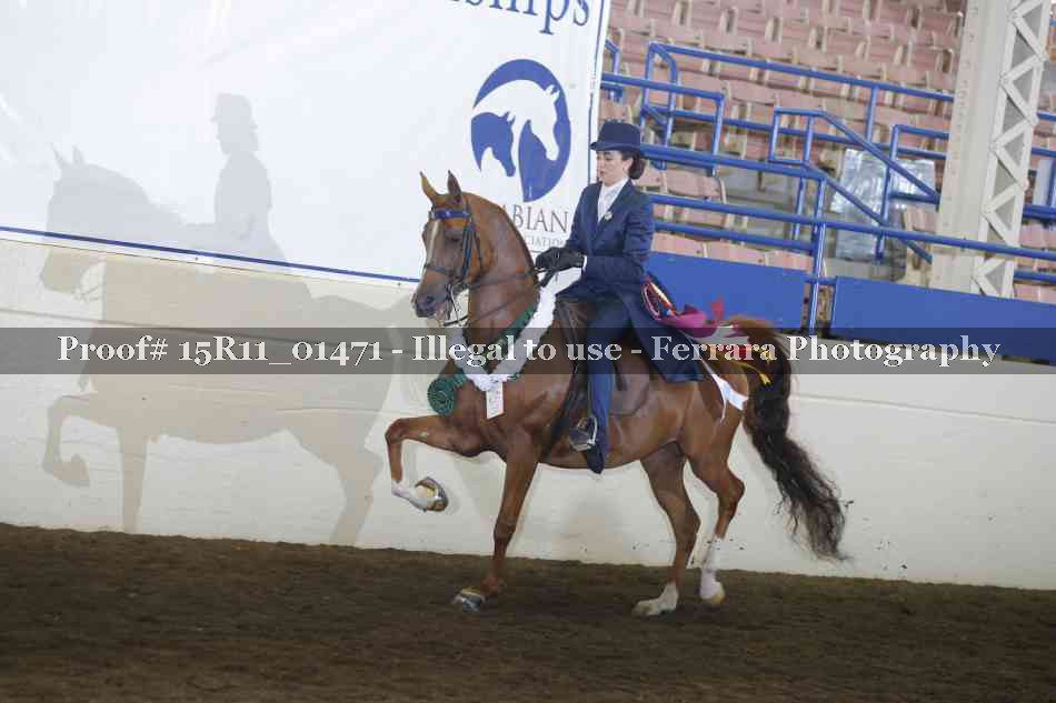 Proof Number 15R11_01471
