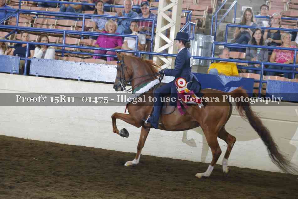 Proof Number 15R11_01475