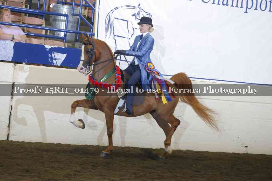 Proof Number 15R11_01479