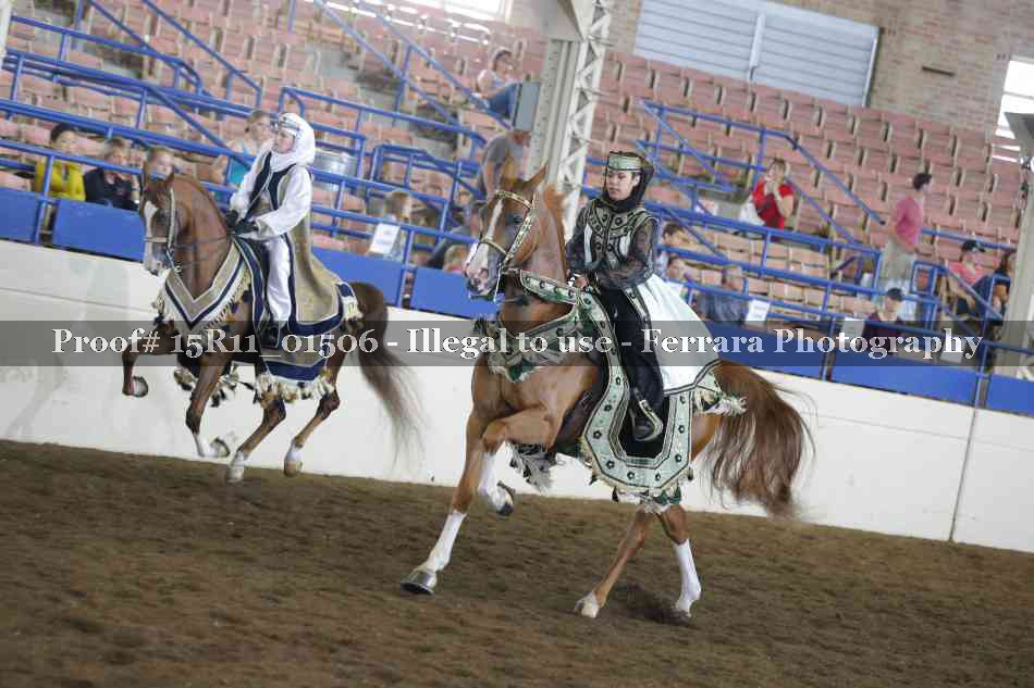 Proof Number 15R11_01506