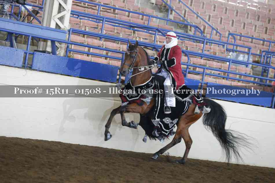 Proof Number 15R11_01508
