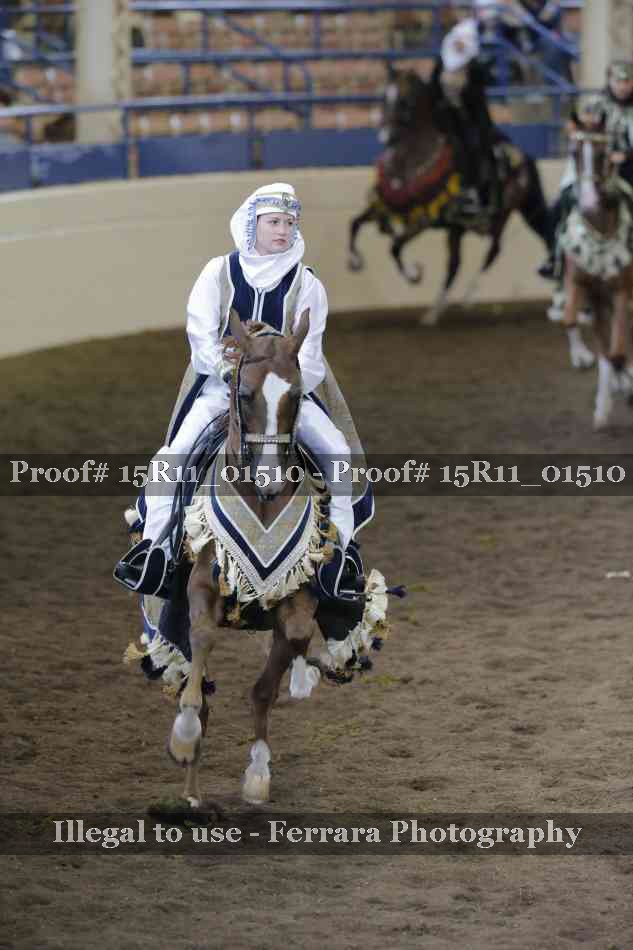 Proof Number 15R11_01510