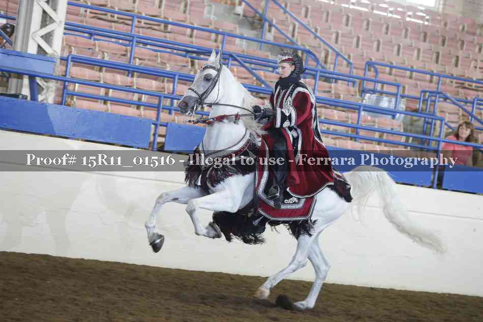 Proof Number 15R11_01516