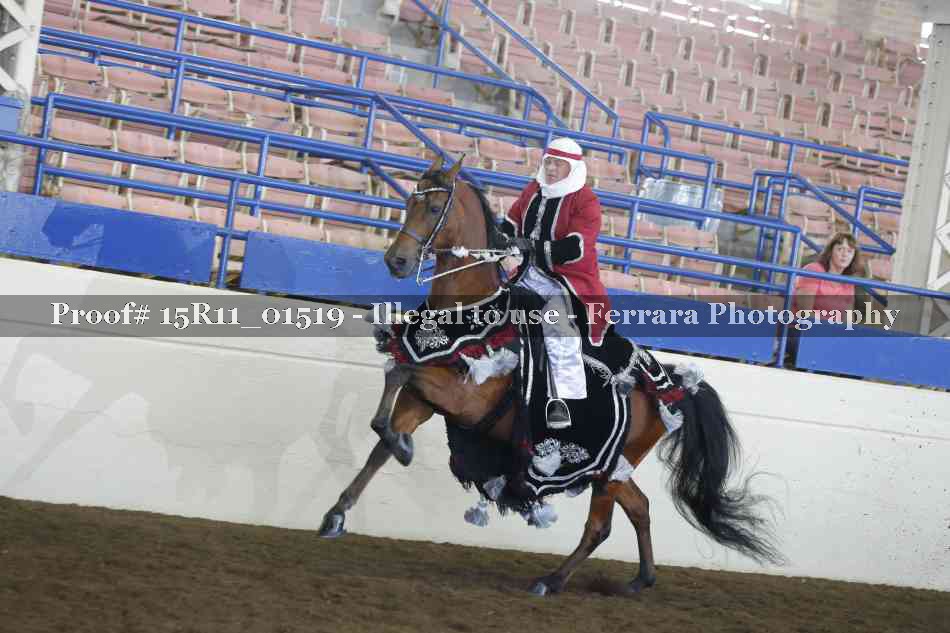 Proof Number 15R11_01519
