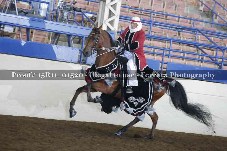 Proof Number 15R11_01520