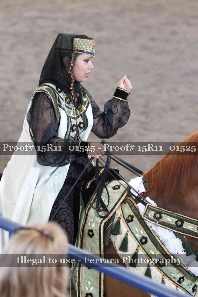 Proof Number 15R11_01525