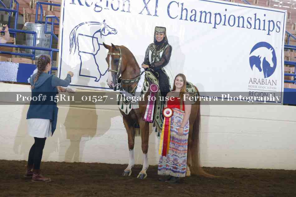 Proof Number 15R11_01527