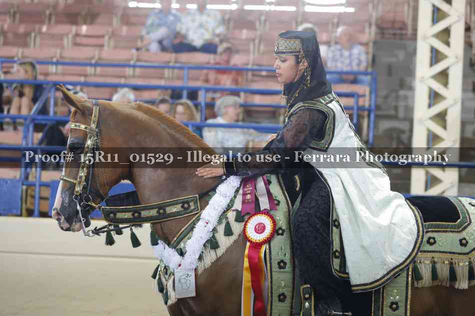 Proof Number 15R11_01529