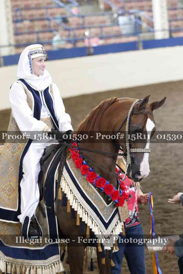 Proof Number 15R11_01530