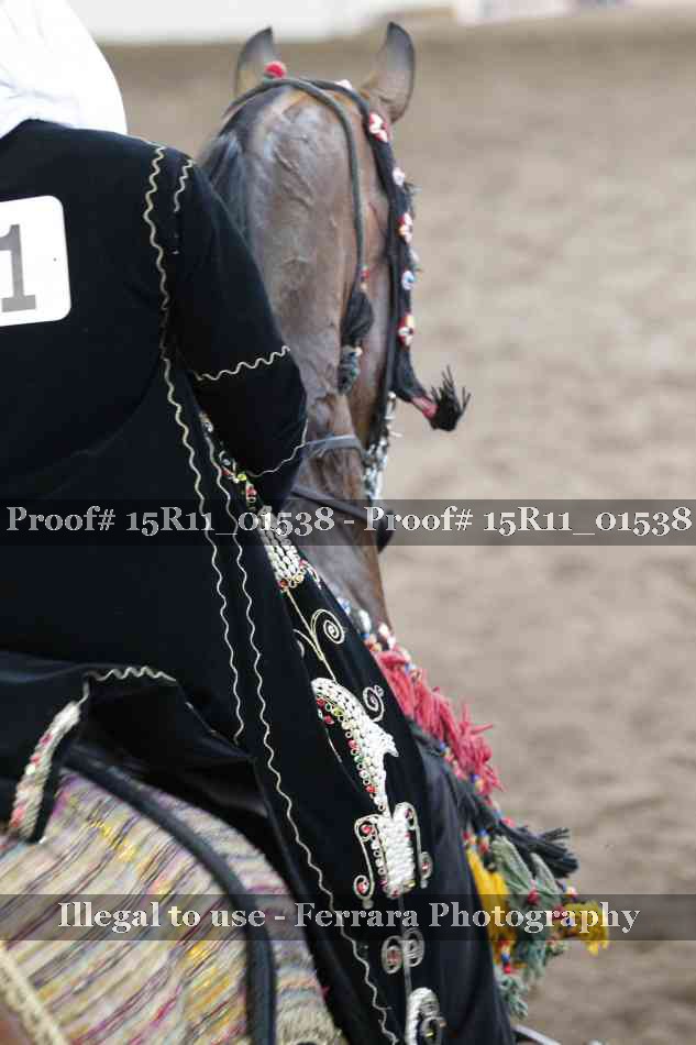 Proof Number 15R11_01538