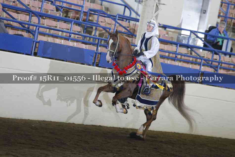 Proof Number 15R11_01556