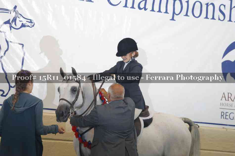 Proof Number 15R11_01584