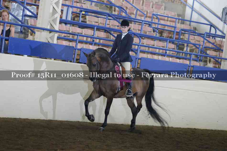 Proof Number 15R11_01608