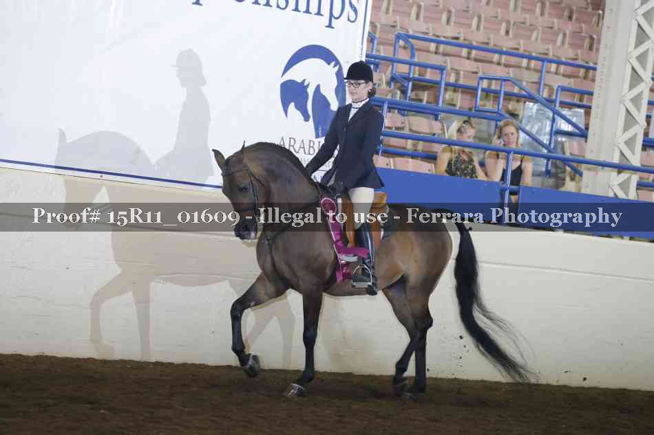 Proof Number 15R11_01609