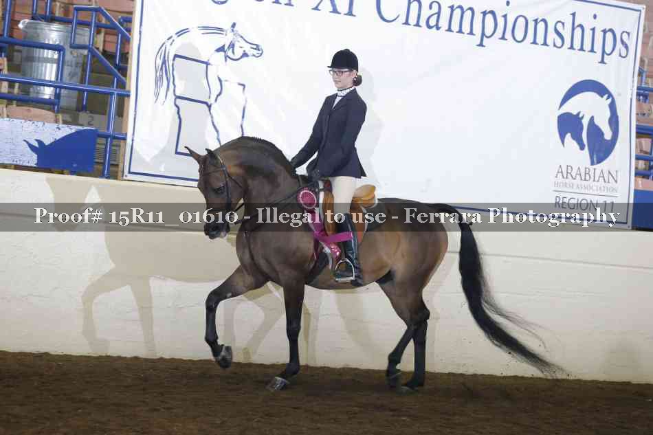 Proof Number 15R11_01610