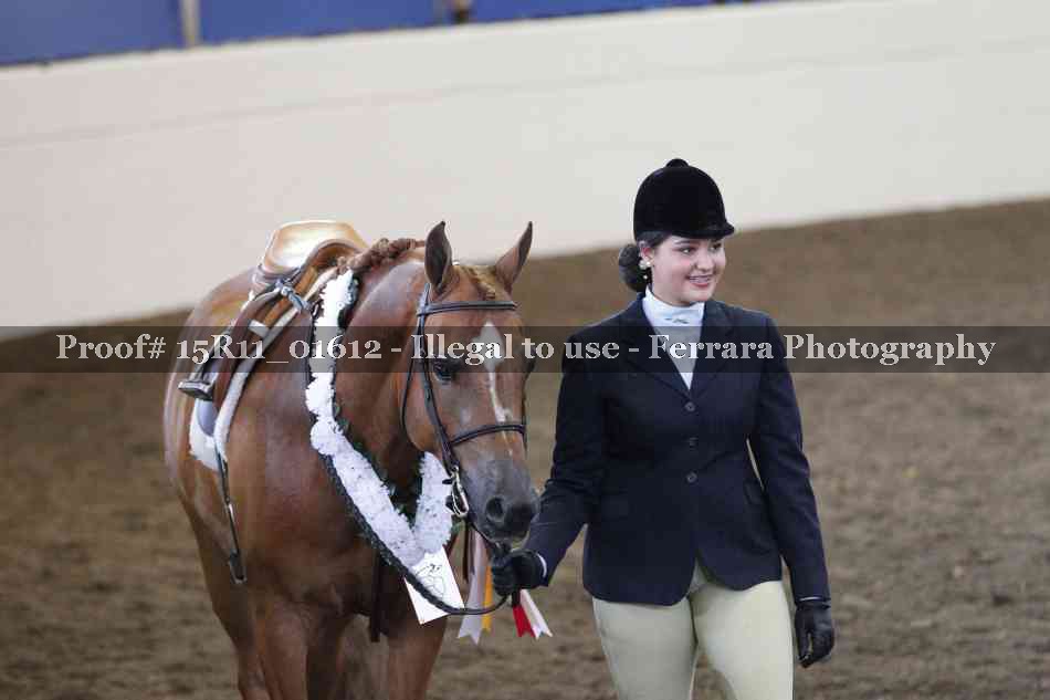 Proof Number 15R11_01612
