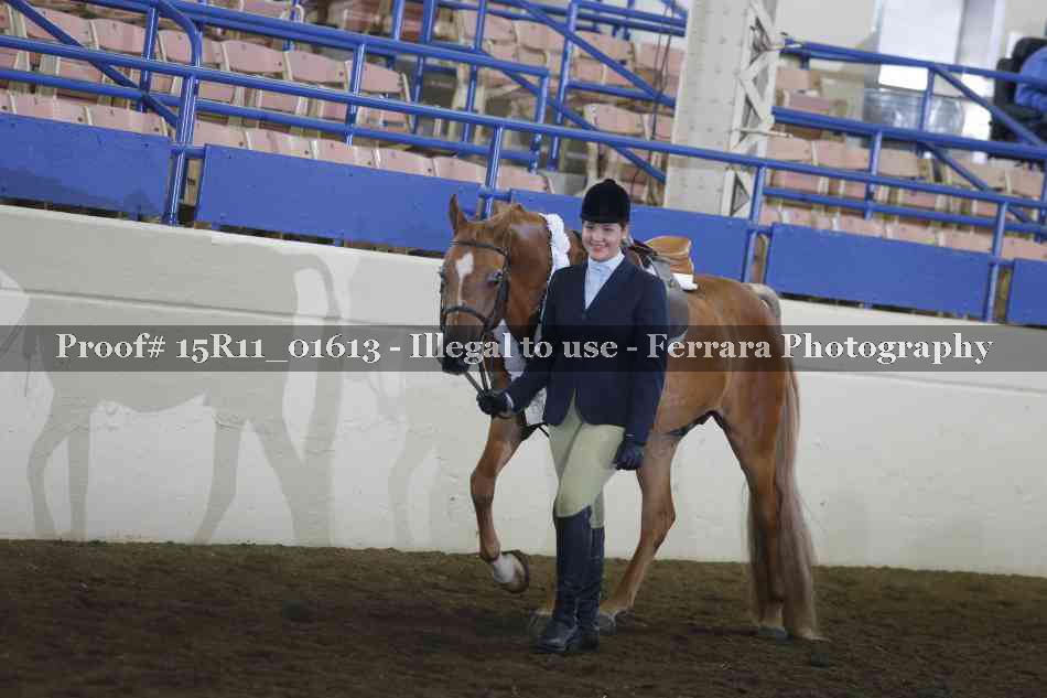 Proof Number 15R11_01613