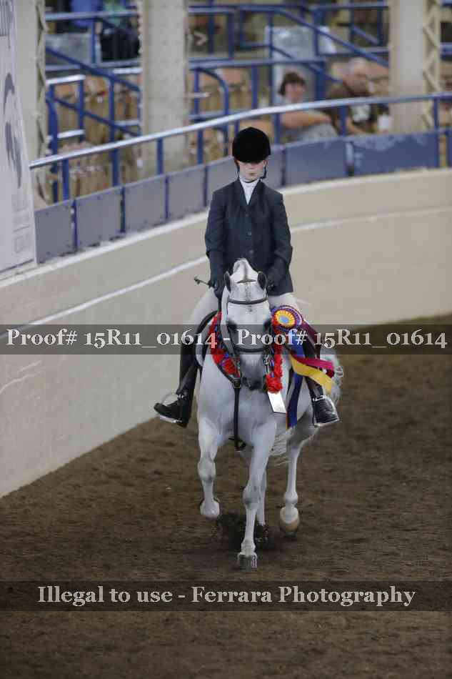 Proof Number 15R11_01614