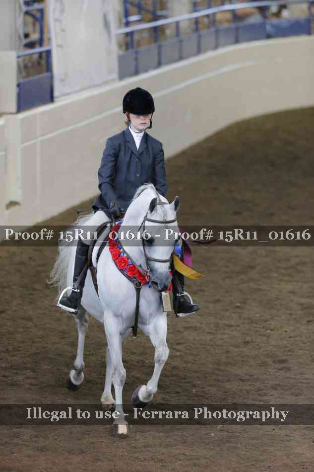 Proof Number 15R11_01616