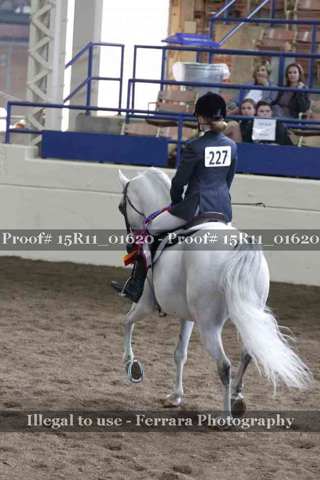 Proof Number 15R11_01620