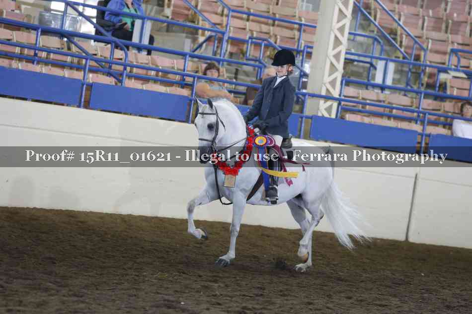 Proof Number 15R11_01621