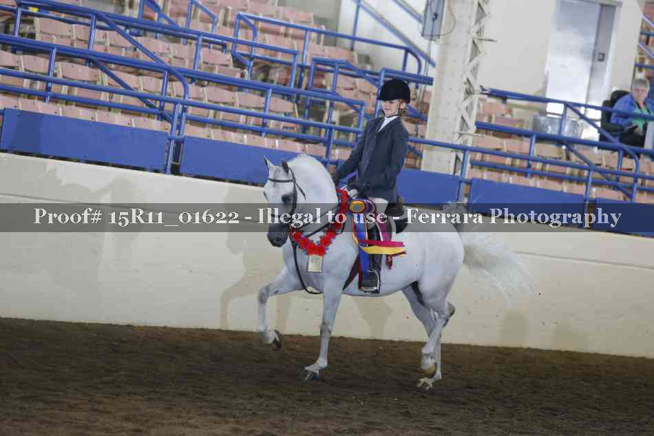 Proof Number 15R11_01622