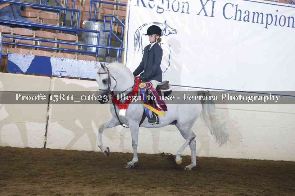 Proof Number 15R11_01623