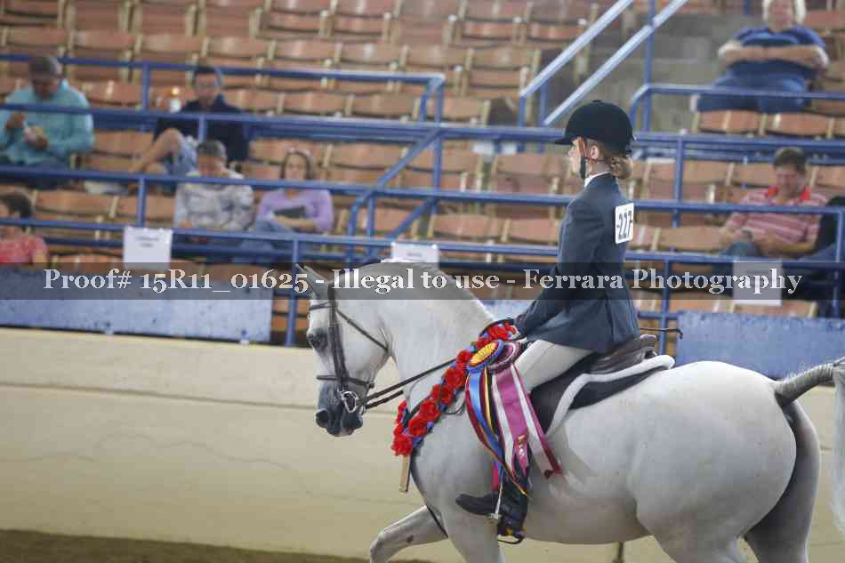 Proof Number 15R11_01625