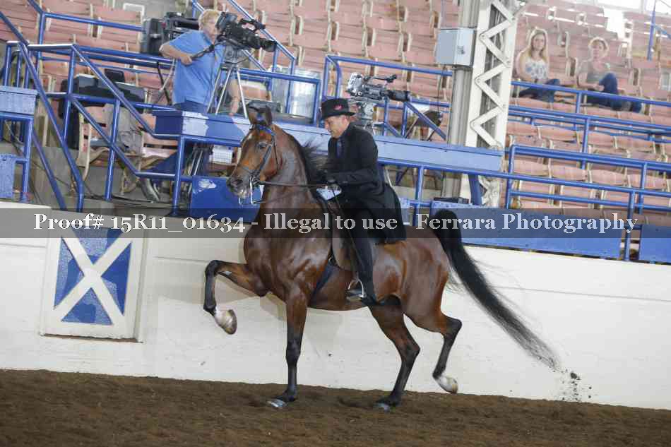 Proof Number 15R11_01634
