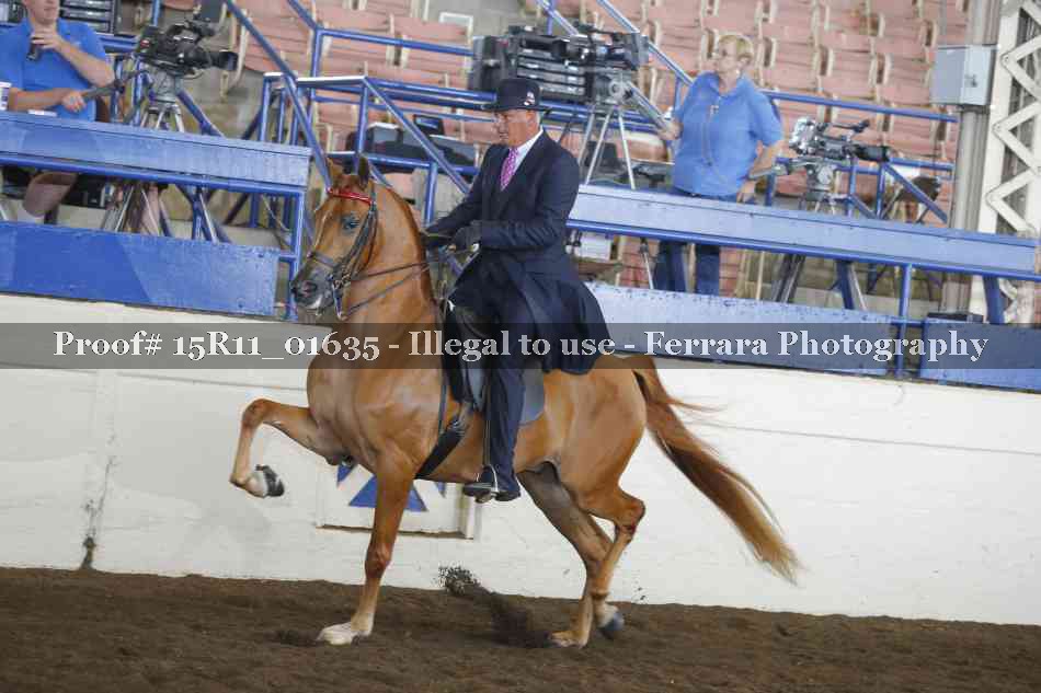Proof Number 15R11_01635