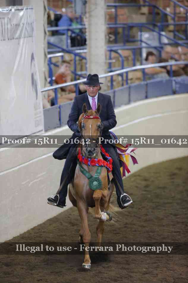 Proof Number 15R11_01642