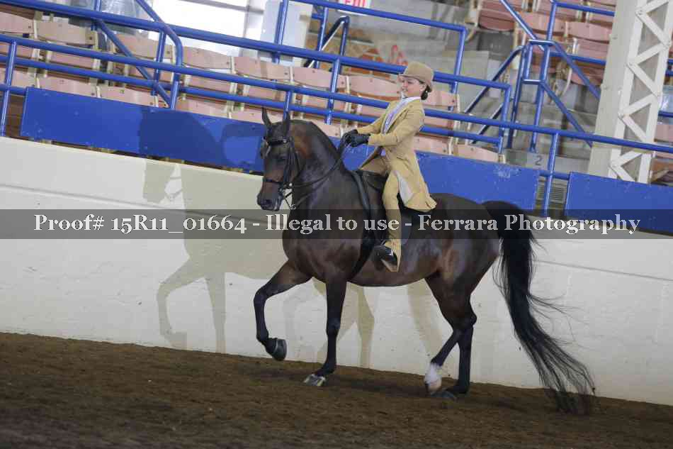 Proof Number 15R11_01664