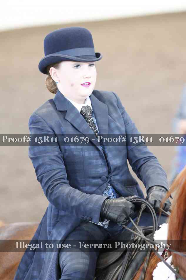 Proof Number 15R11_01679