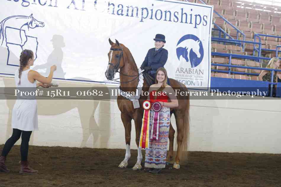 Proof Number 15R11_01682