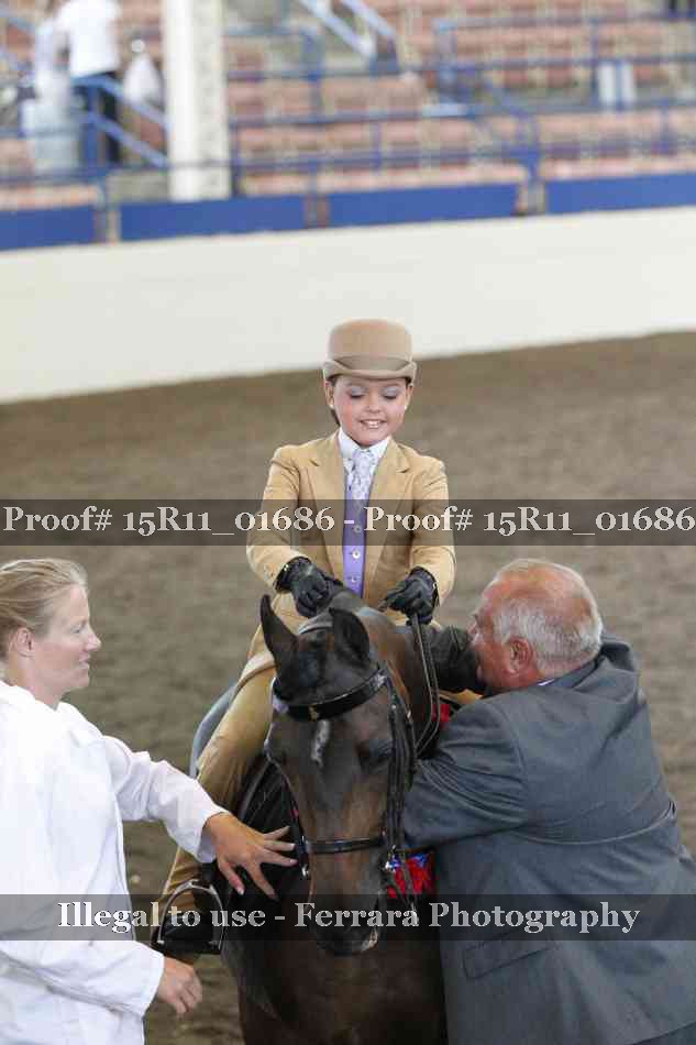 Proof Number 15R11_01686