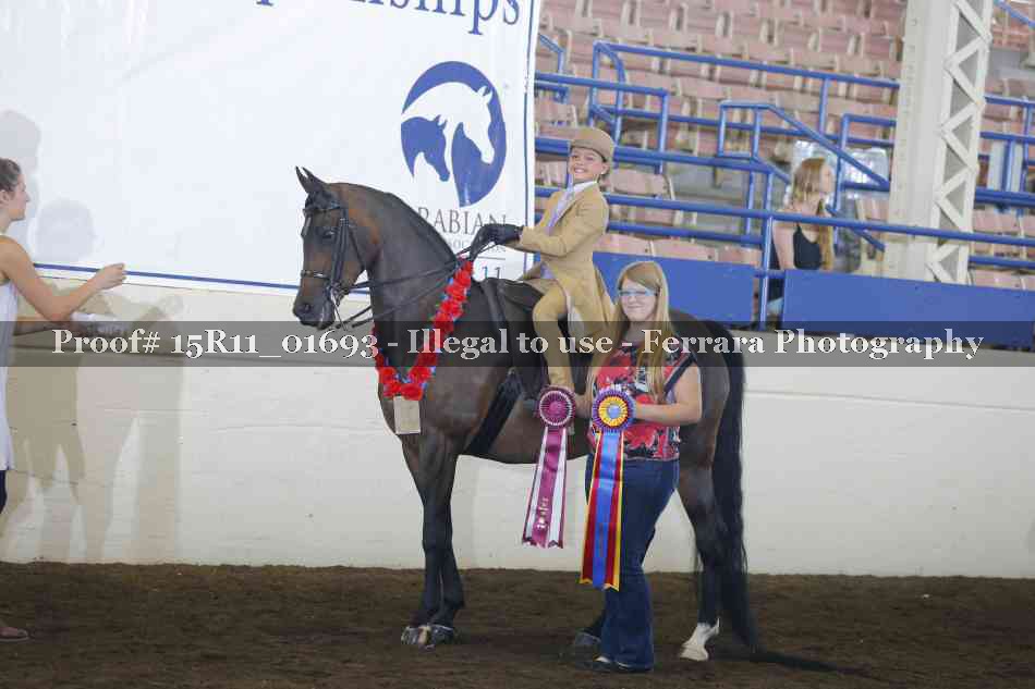Proof Number 15R11_01693