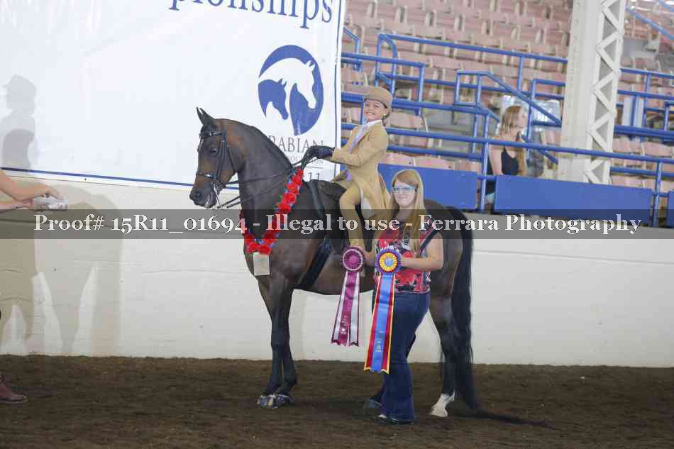 Proof Number 15R11_01694