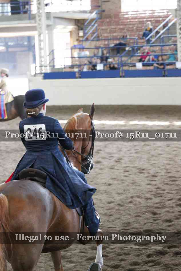 Proof Number 15R11_01711
