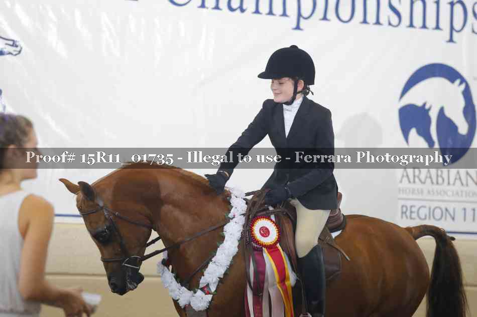 Proof Number 15R11_01735