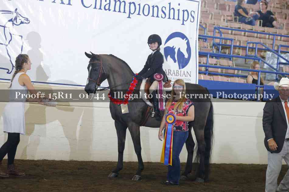 Proof Number 15R11_01744
