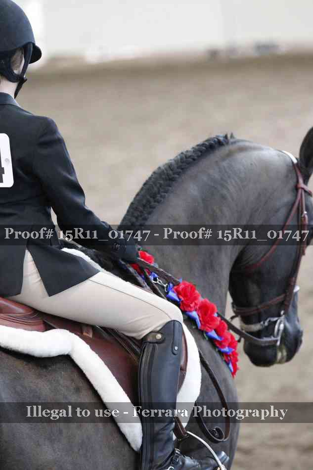 Proof Number 15R11_01747