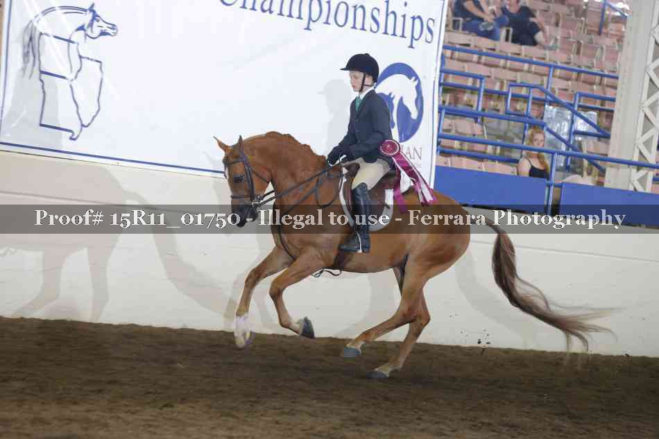Proof Number 15R11_01750
