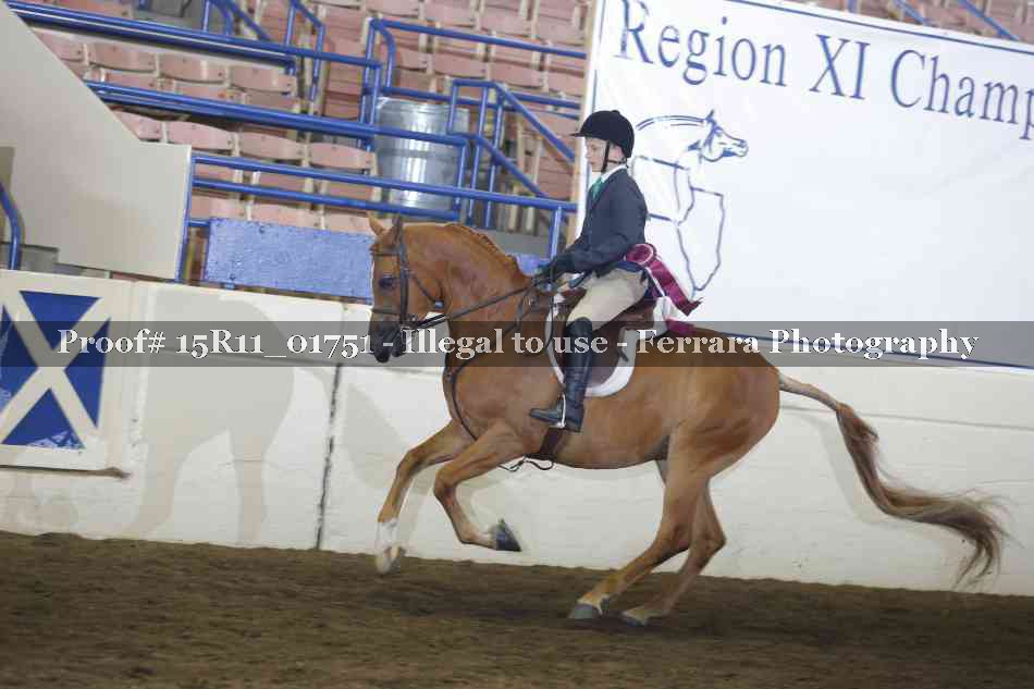 Proof Number 15R11_01751