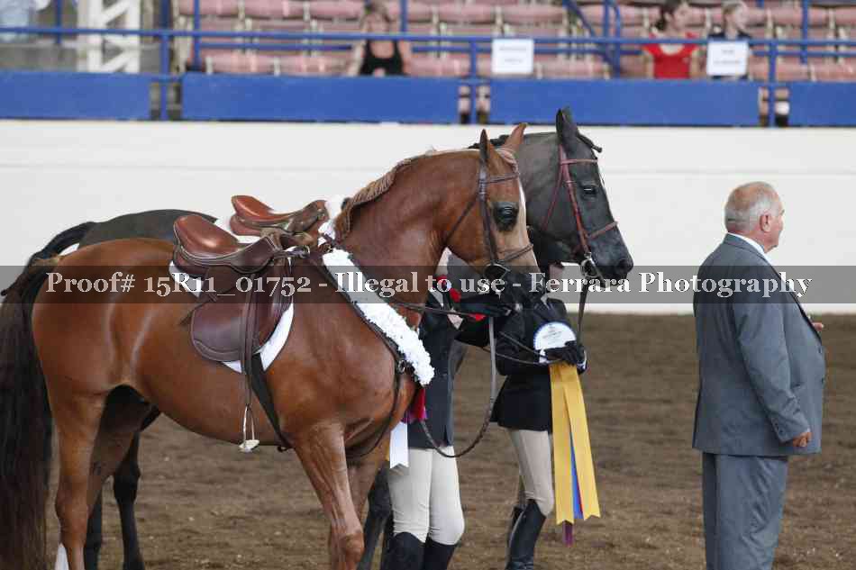 Proof Number 15R11_01752